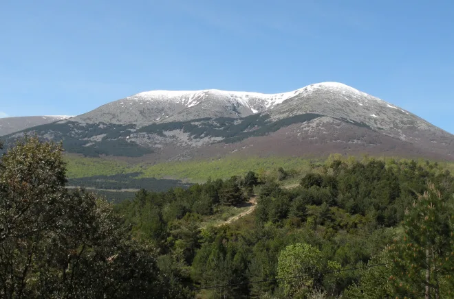 Rutas guiadas en el Mocayo