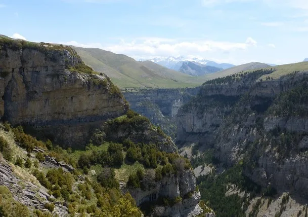Fajas de los Pirineos