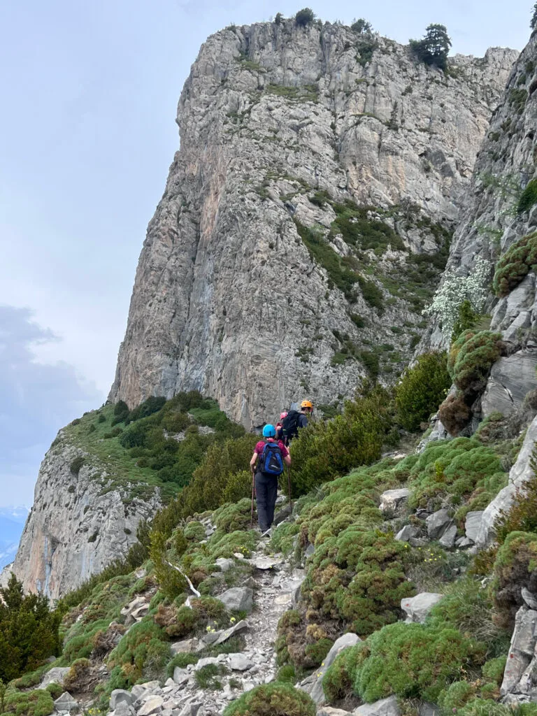 Faja de los Pirineos