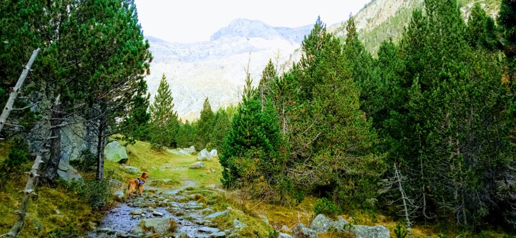 Trekking de 1 día