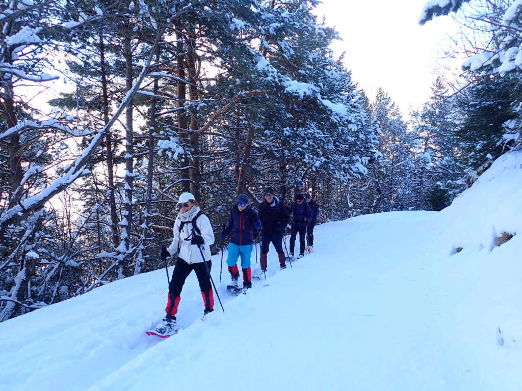 Raquetas de nieve