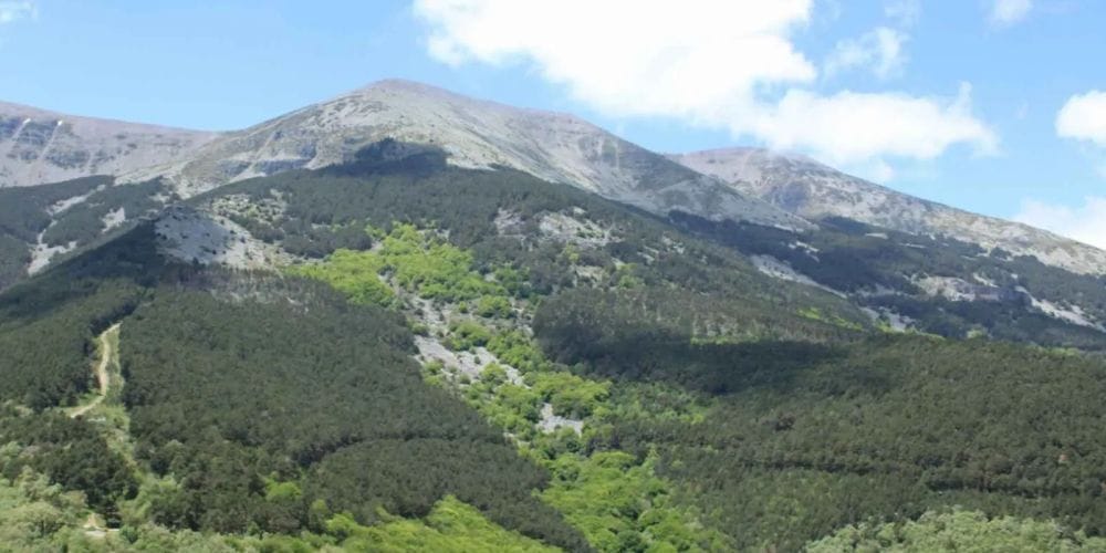 Rutas guiadas en el Moncayo