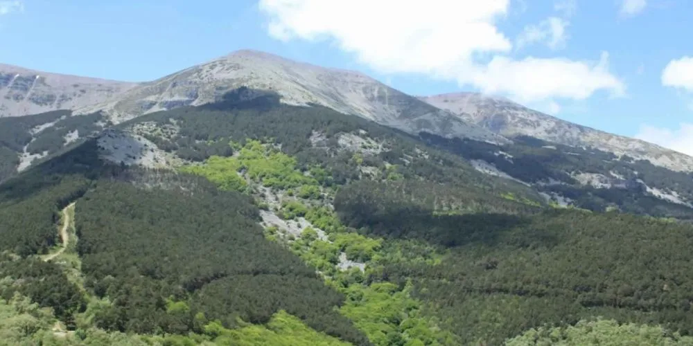 Rutas guiadas en el Moncayo