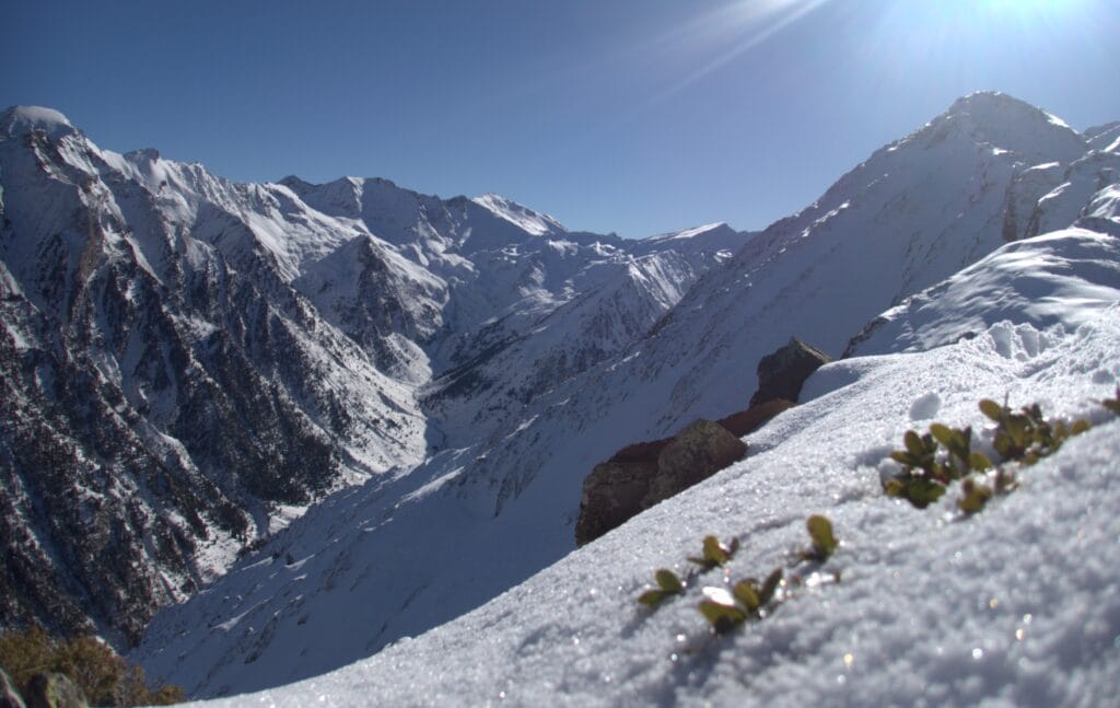 Ruta guiada con raquetas de nieve en el Pirineo de Huesca