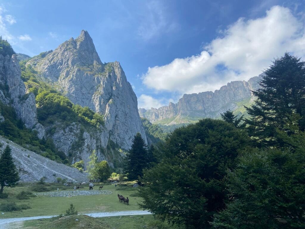ruta de las golondrinas pirineos guiada
